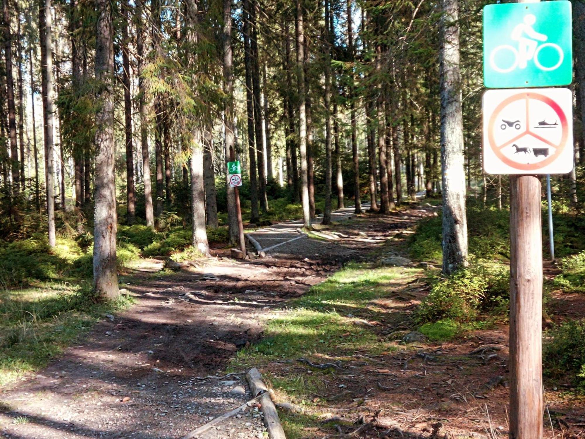 Eco Domek Z Duzym Ogrodem I Widokiem Murzasichle Exterior photo